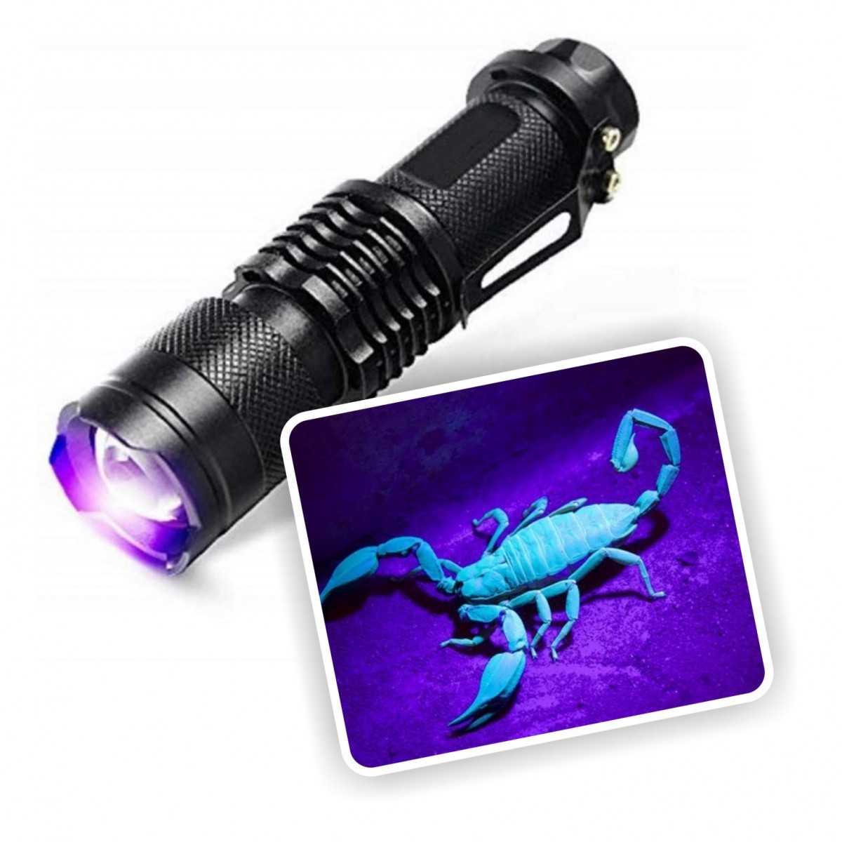 Travioleta lámpara UV LED linterna 365nm Scorpion Bernstein luz negra 