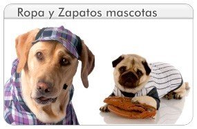 Ropa para mascotass