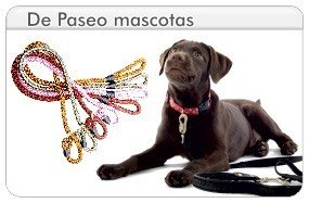 Paseo de mascotas