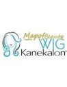 MapofBeauty Kanekalon Wig